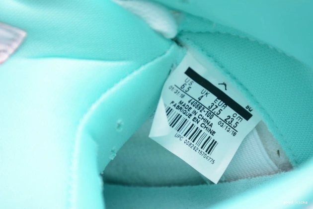 Cheap Air Jordan Aqua Light 440892-100 GS 5 0731